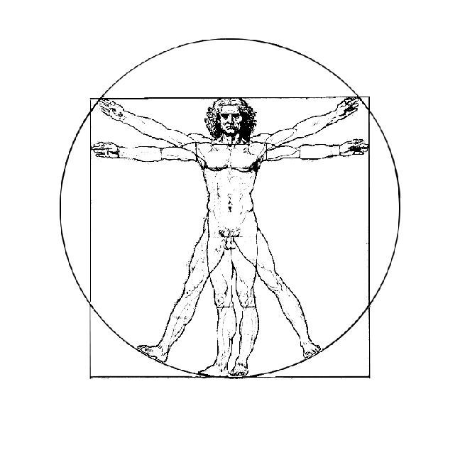 Afbeeldingsresultaten voor da Vinci Vitruvius animated gif